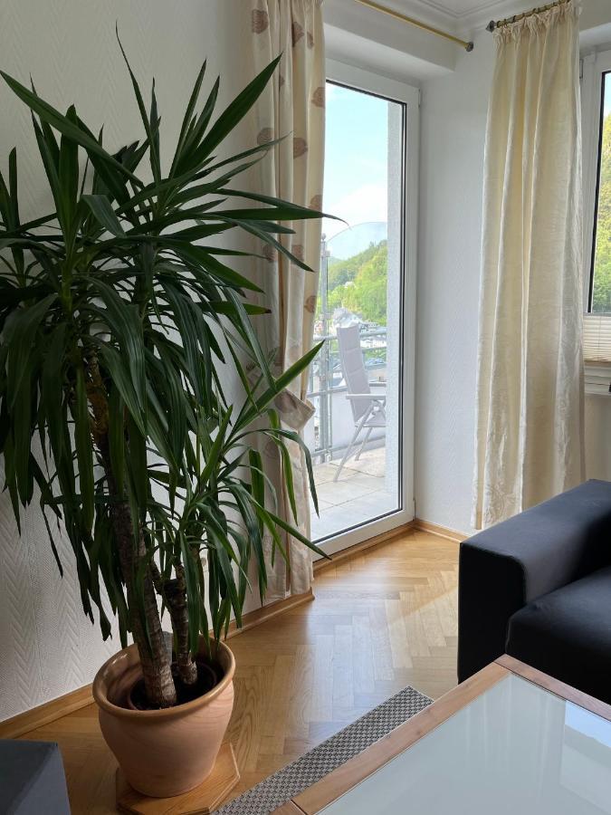 Apartment Bergpanorama - Willingen *