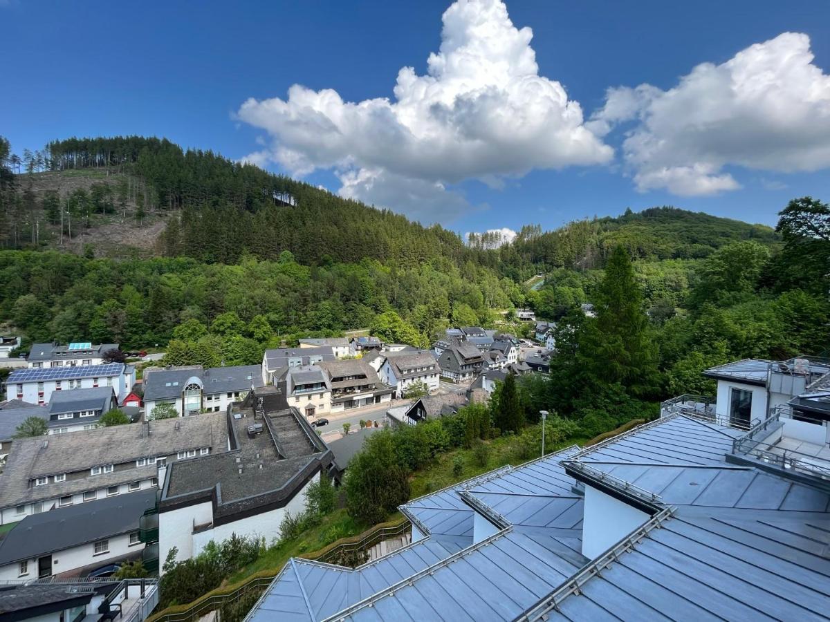Bergpanorama - Willingen * Willingen (Upland)