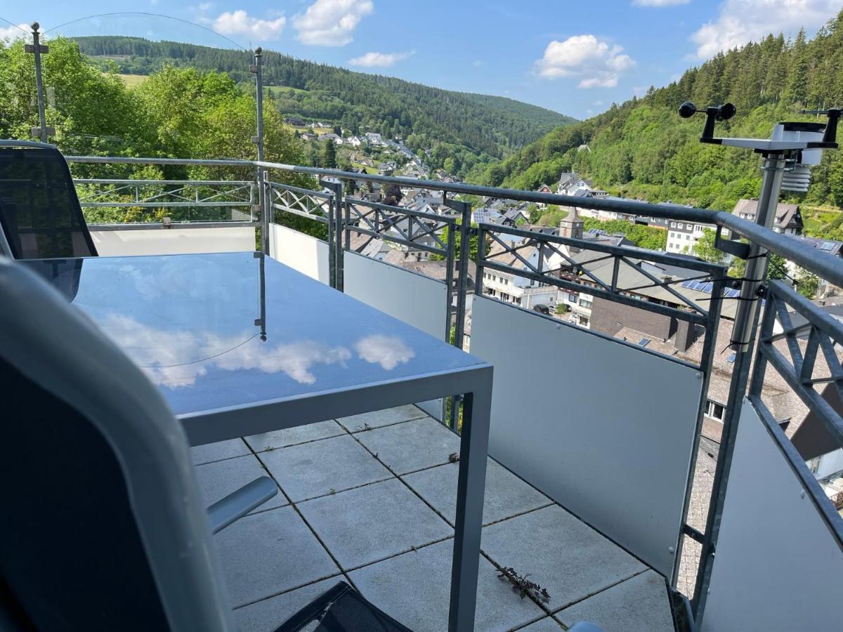 Bergpanorama - Willingen *