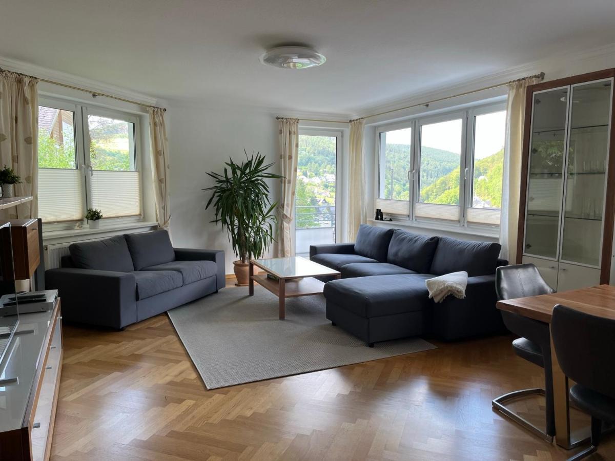 Apartment Bergpanorama - Willingen *