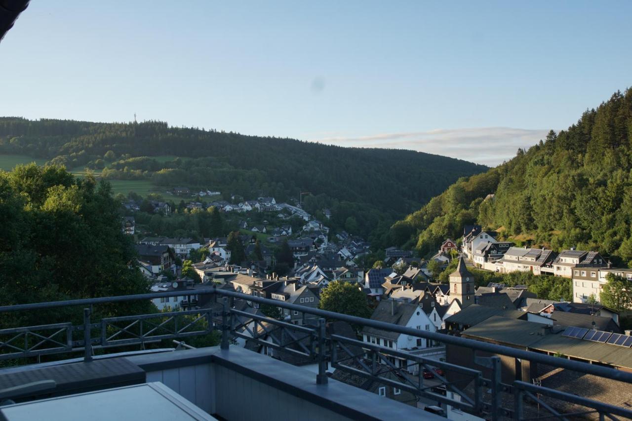 Bergpanorama - Willingen *