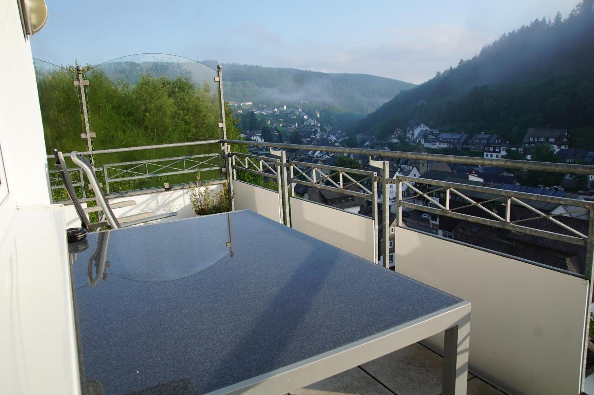 Bergpanorama - Willingen *