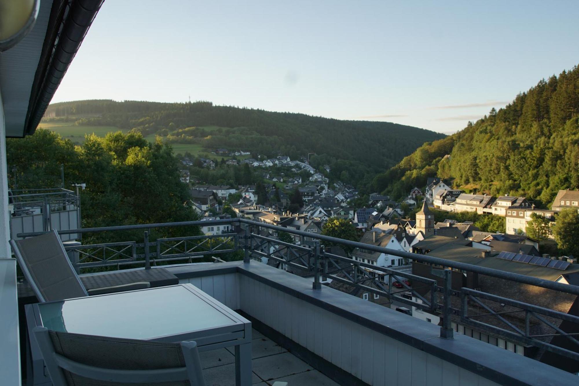 Bergpanorama - Willingen